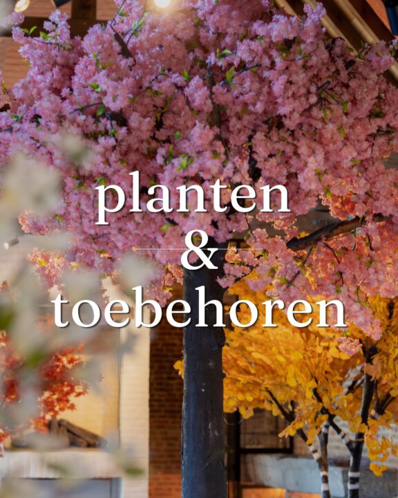 Planten & toebehoren