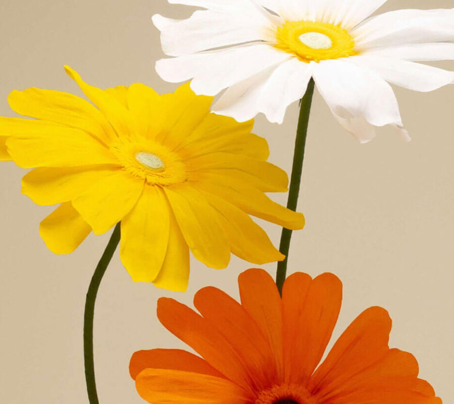 BLOOMHAUS oversized details