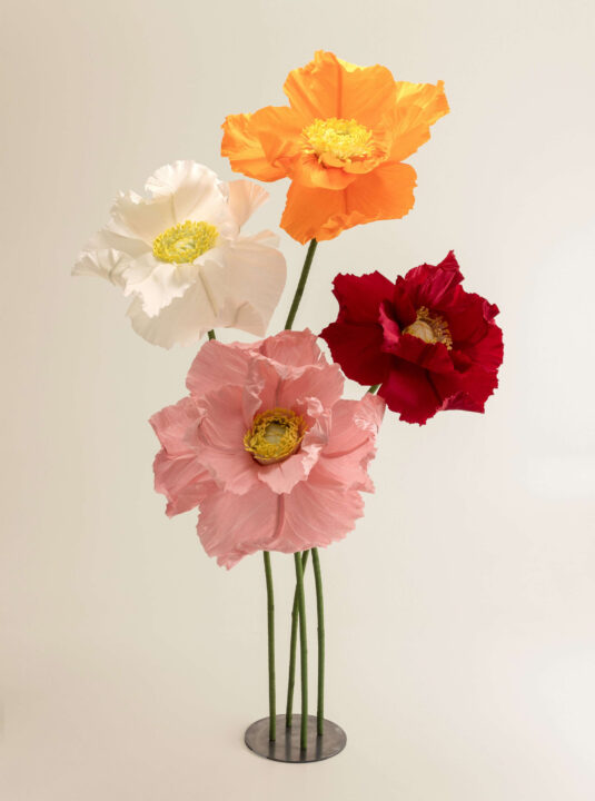 BLOOMHAUS oversized classic