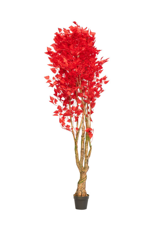 Replic Erableplante Rouge H220 X Dia 30Cm Haut