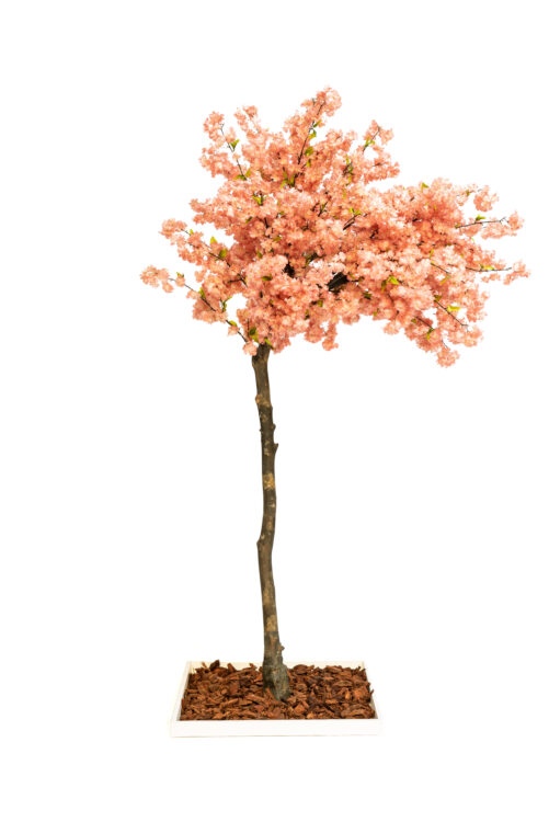 Replic Cerisier Pink  H220 X Dia 80Cm Petit