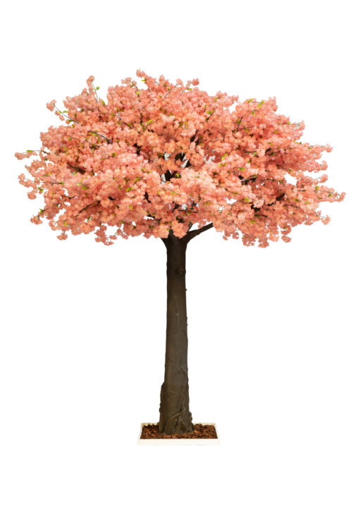 Replic Cerisier Pink H350 X Dia 300Cm Grand