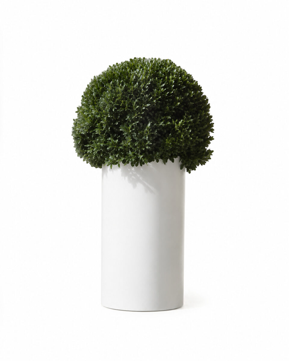 Ronde witte sokkel met bol diam 50cm